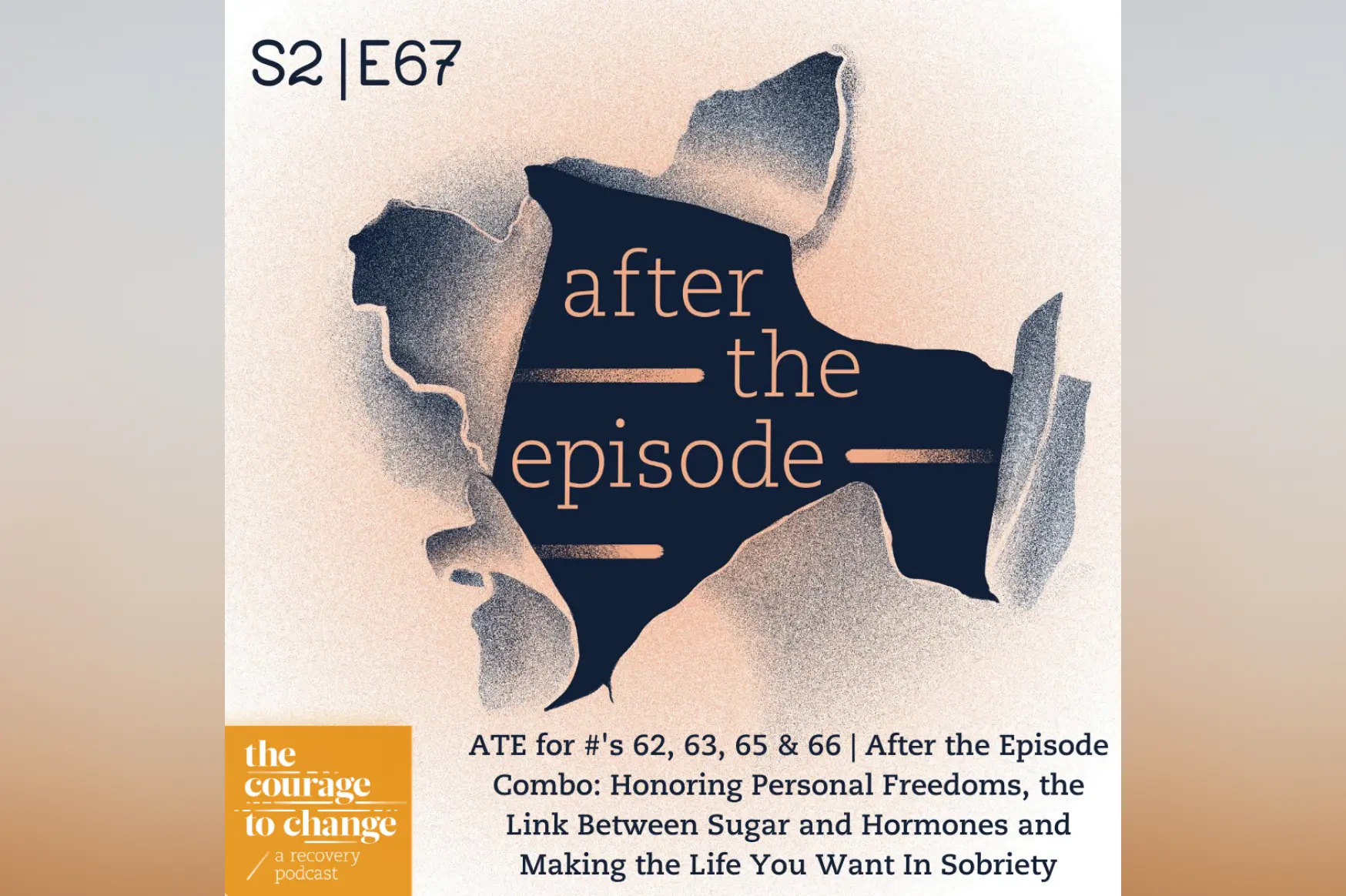 #67 - After the Episode
