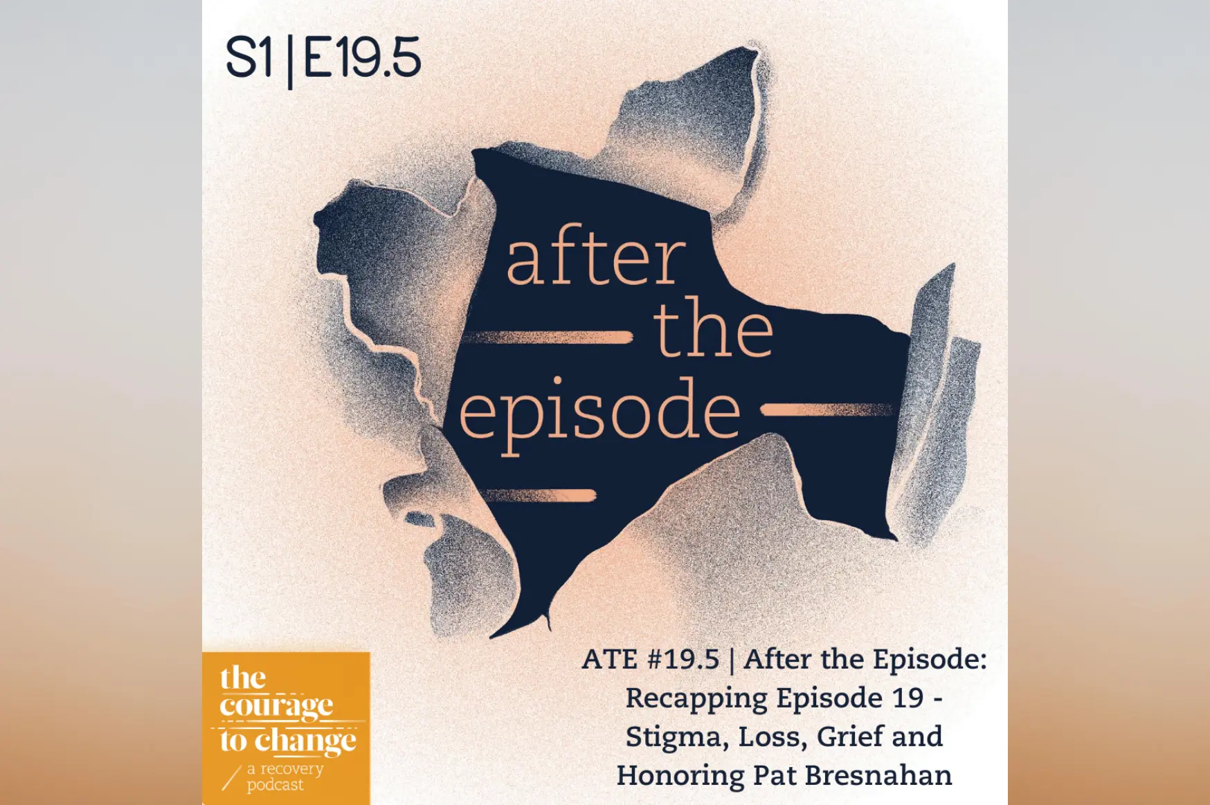 #18.5 - After the Episode